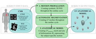 Investigating Cardiac Motion Patterns Using Synthetic High-Resolution 3D Cardiovascular Magnetic Resonance Images and Statistical Shape Analysis